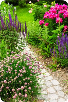 hardscaping and landscaping services